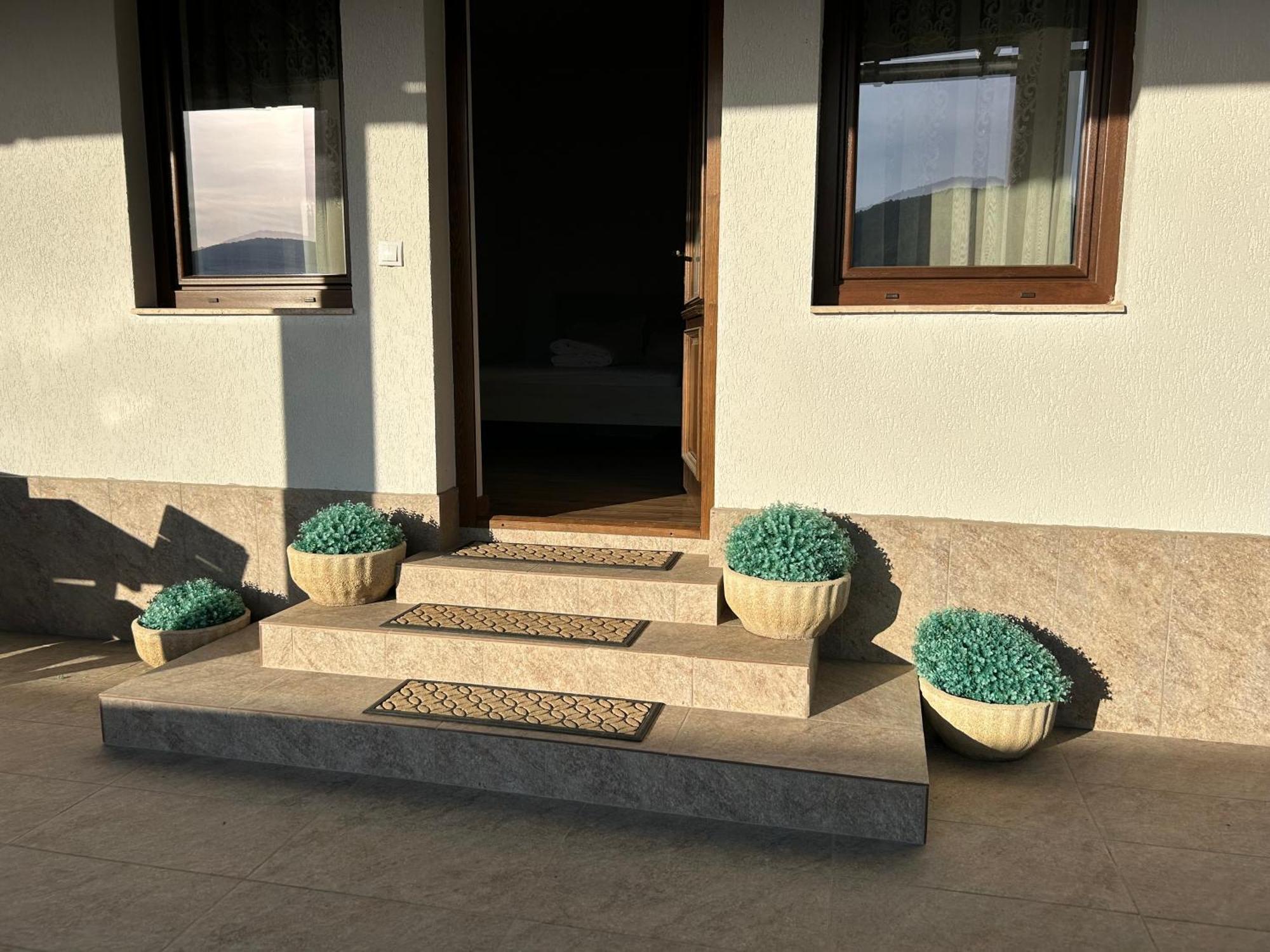 Gura Raului Casa De Vacanta Villa Екстериор снимка