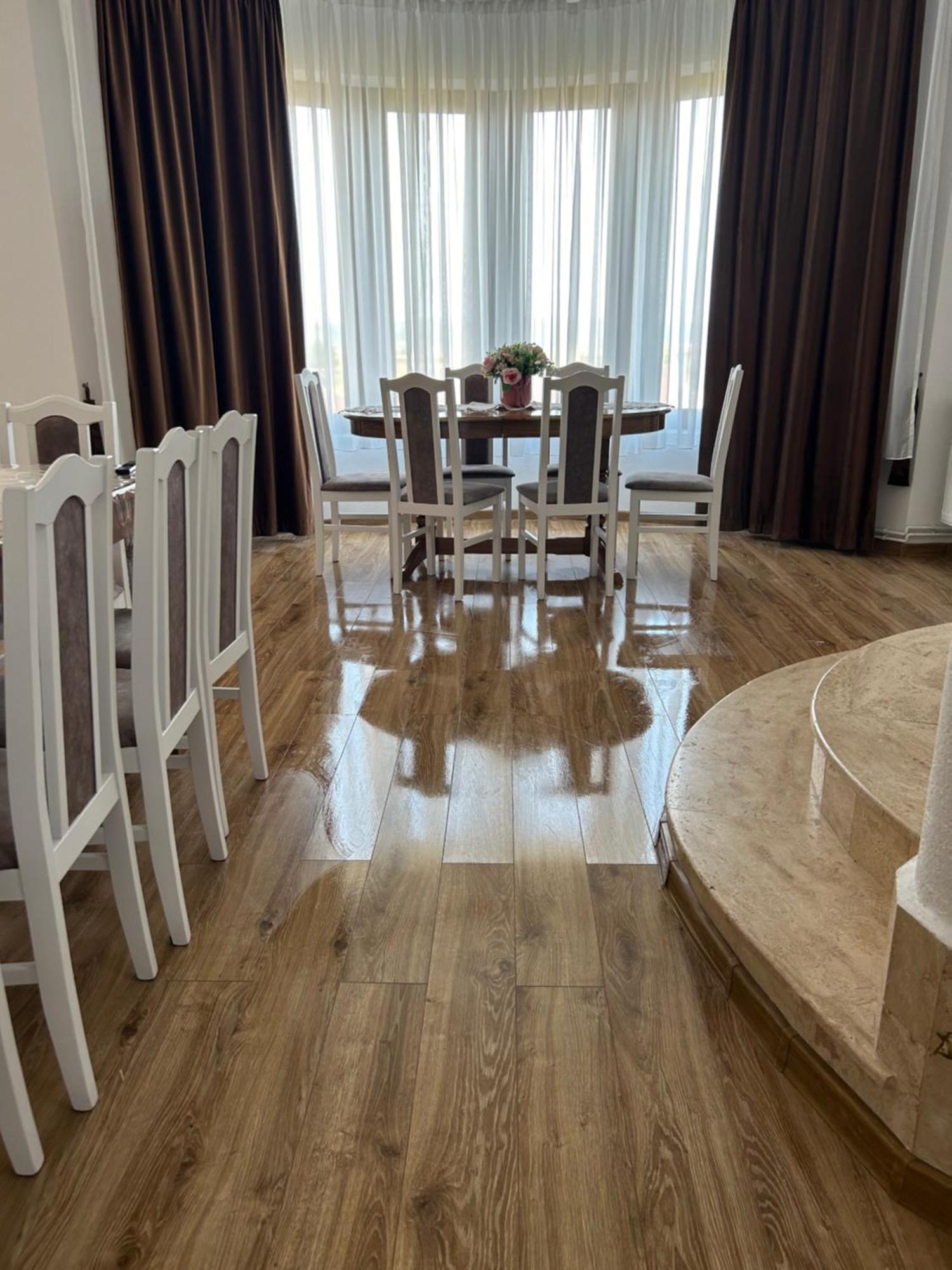 Gura Raului Casa De Vacanta Villa Екстериор снимка